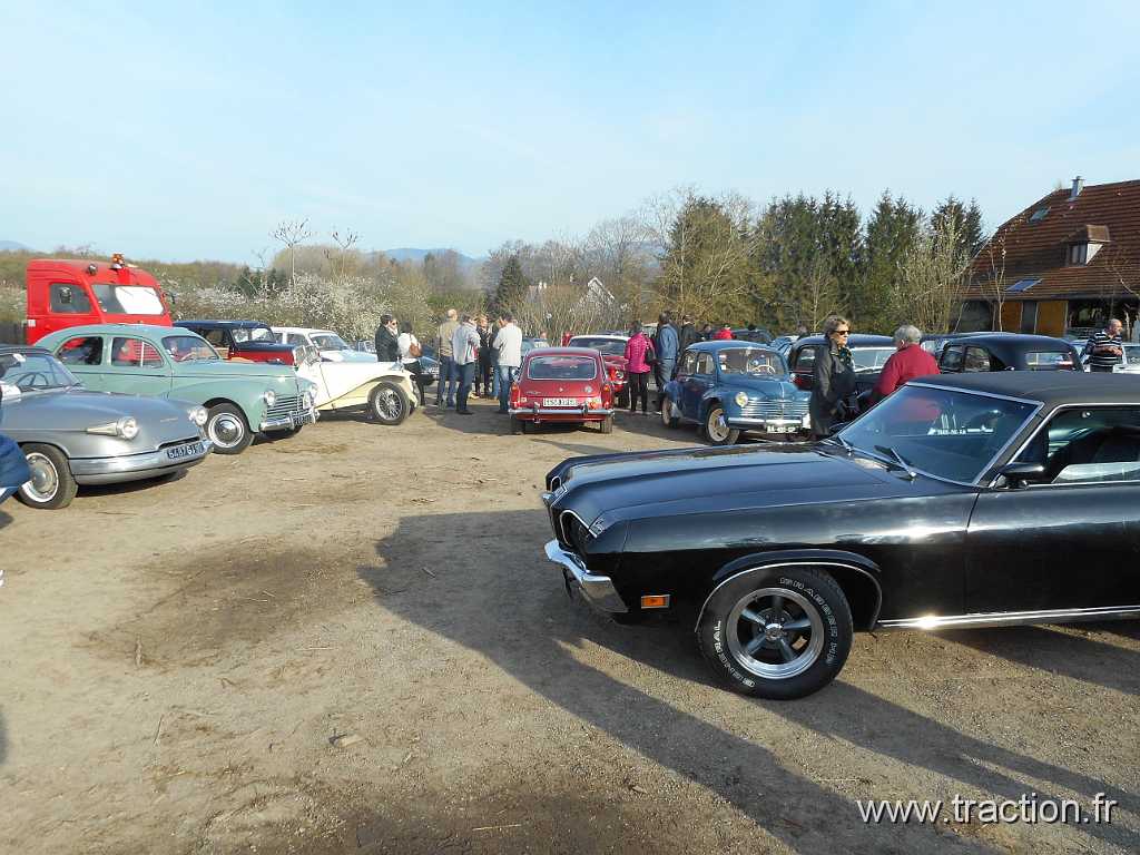2016_Rodagea (11).JPG - 10/04/2016 - 68116 GUEWENHEIM - La Ferme au Cheval